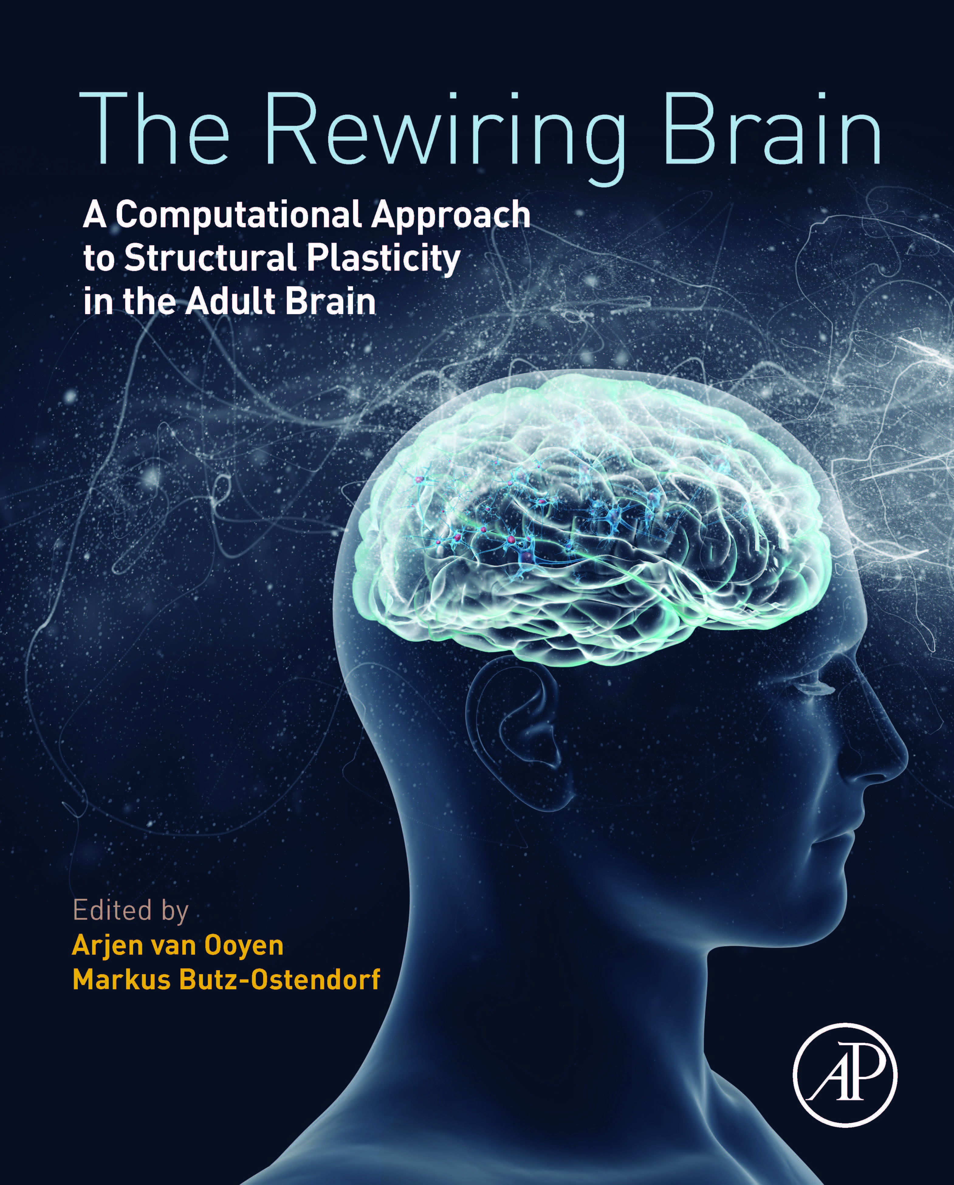 Cover of Anatomy and Plasticity in Large-Scale Brain Models