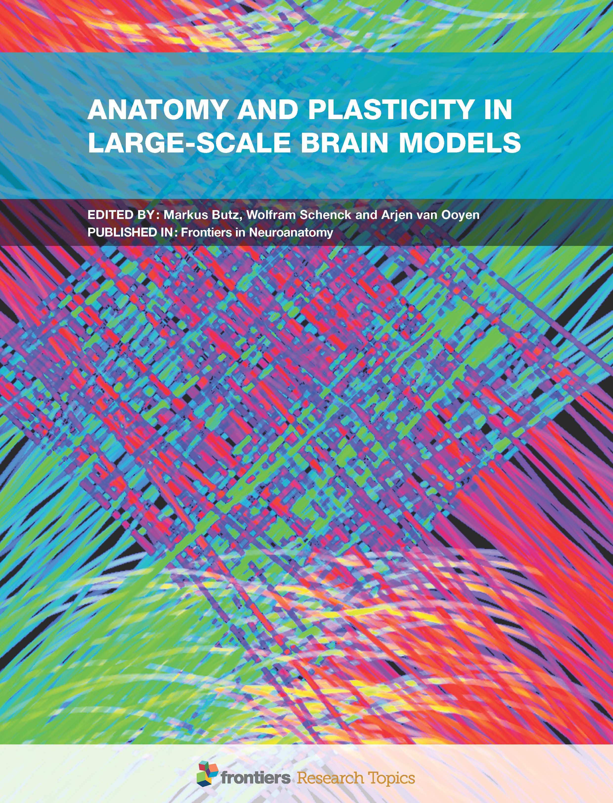 Cover of Anatomy and Plasticity in Large-Scale Brain Models